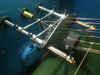 Fuchuan Wire Twist Bunching Buncher Stranding Strander Machine / Copper Wire Twister for Regular 1+6+12 Conductors
